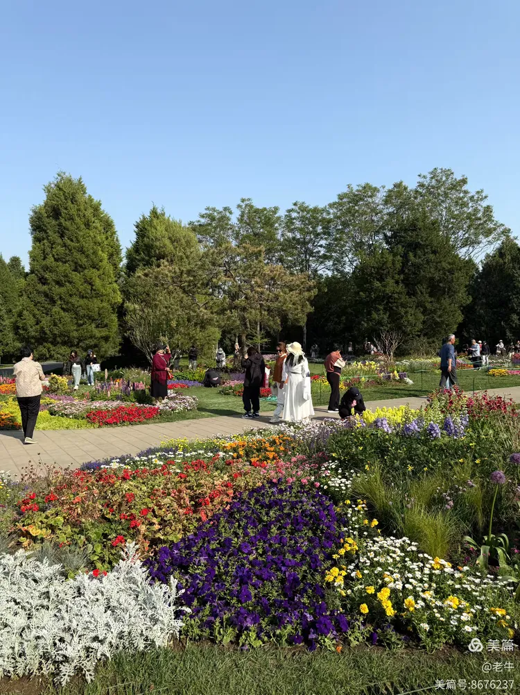 天坛百花园:五一的繁花之约